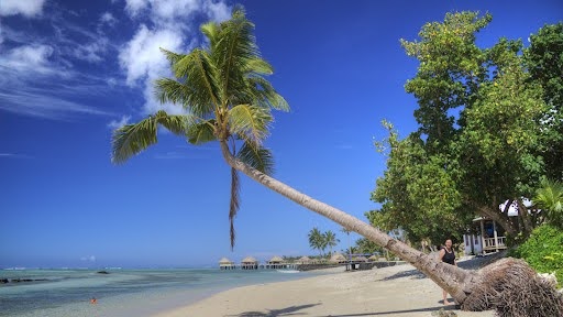 American Samoa landscape