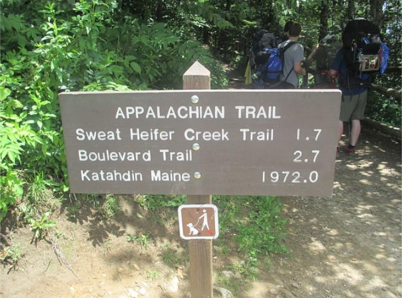 Do You Plan to Rush Through the Trail or Take It Slow