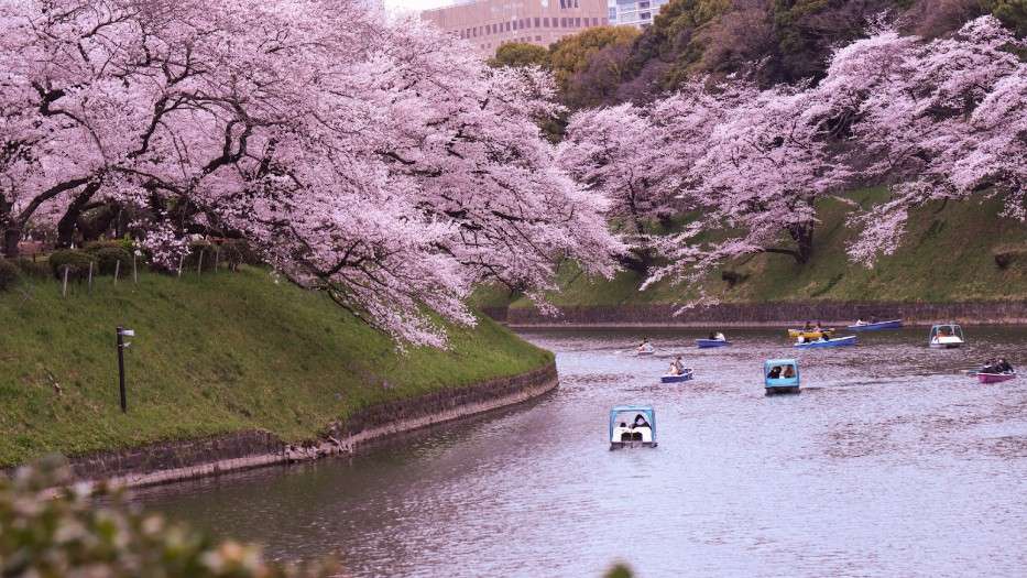 The air's cool, the fashion’s fire, and you might just catch the Tokyo Game Show or a traditional lantern festival.
