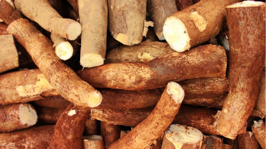 What Is Modified Food Starch, Really
