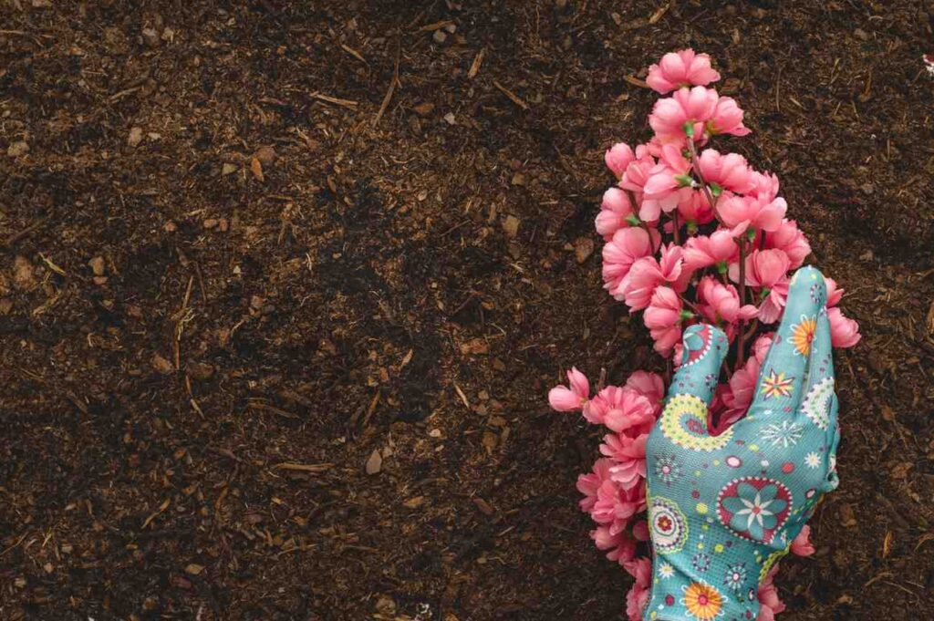 Pollination Vectors The Unsung Heroes of Plant Reproduction