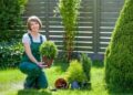 Low-Maintenance-Yard-Landscaping-7-Essential-Features-for-Busy-Homeowners