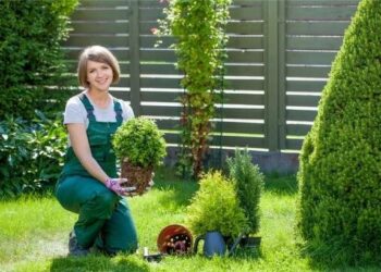 Low-Maintenance-Yard-Landscaping-7-Essential-Features-for-Busy-Homeowners