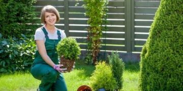 Low-Maintenance-Yard-Landscaping-7-Essential-Features-for-Busy-Homeowners