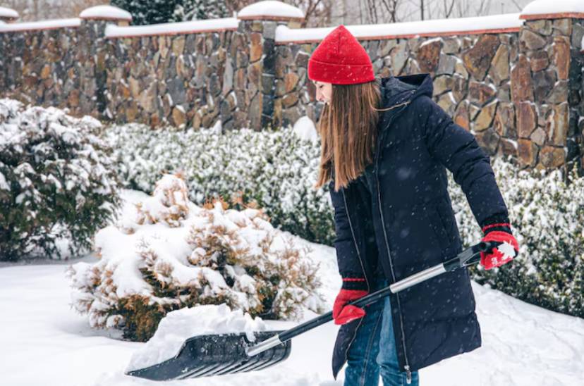 Develop a Seasonal Maintenance Routine